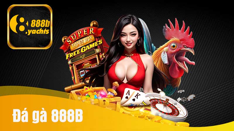 Đá gà 888B – Tận hưởng đấu trường chọi gà online đỉnh cao